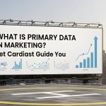 What is Primary Data in Marketing
